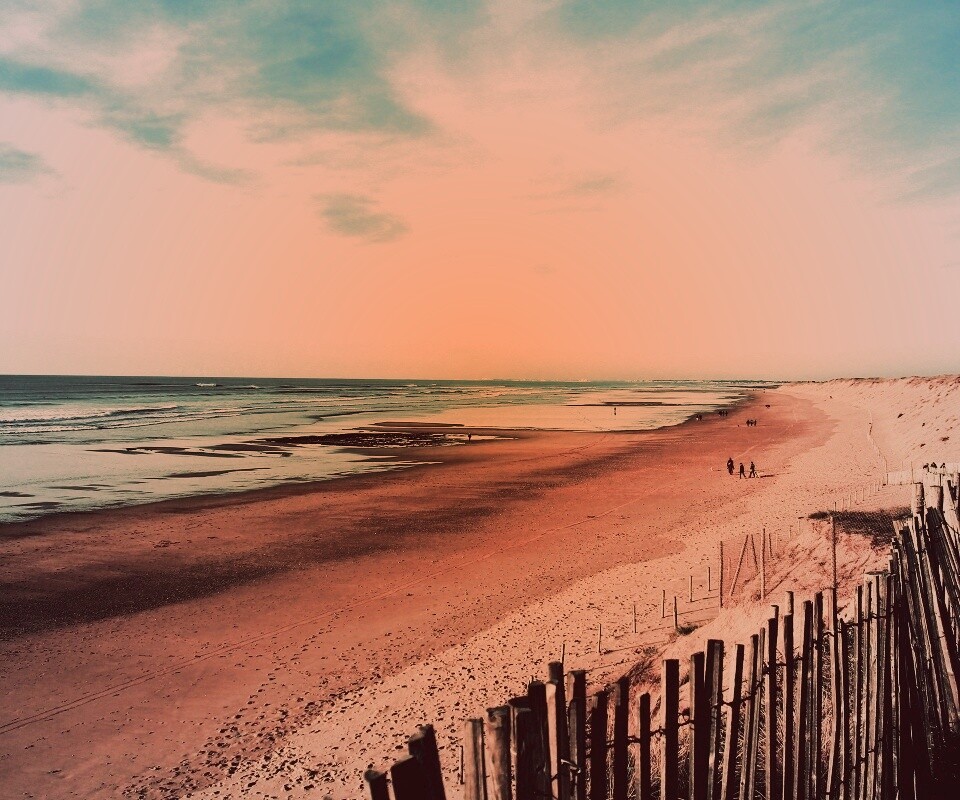 Обмелевший берег обои