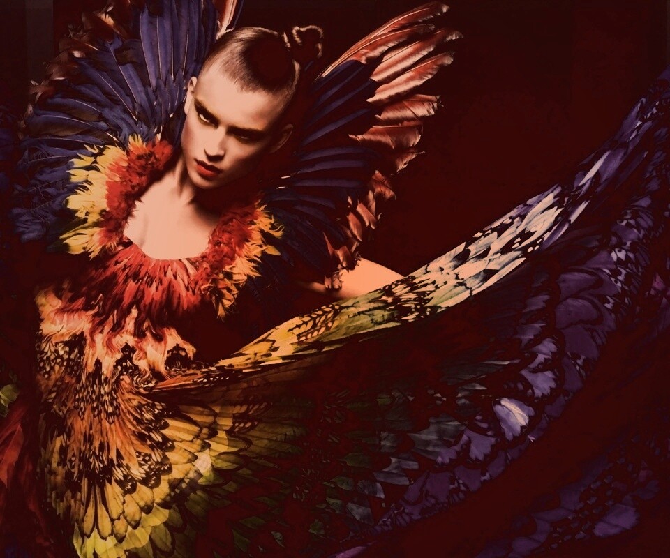 Костюм жар птицы обои