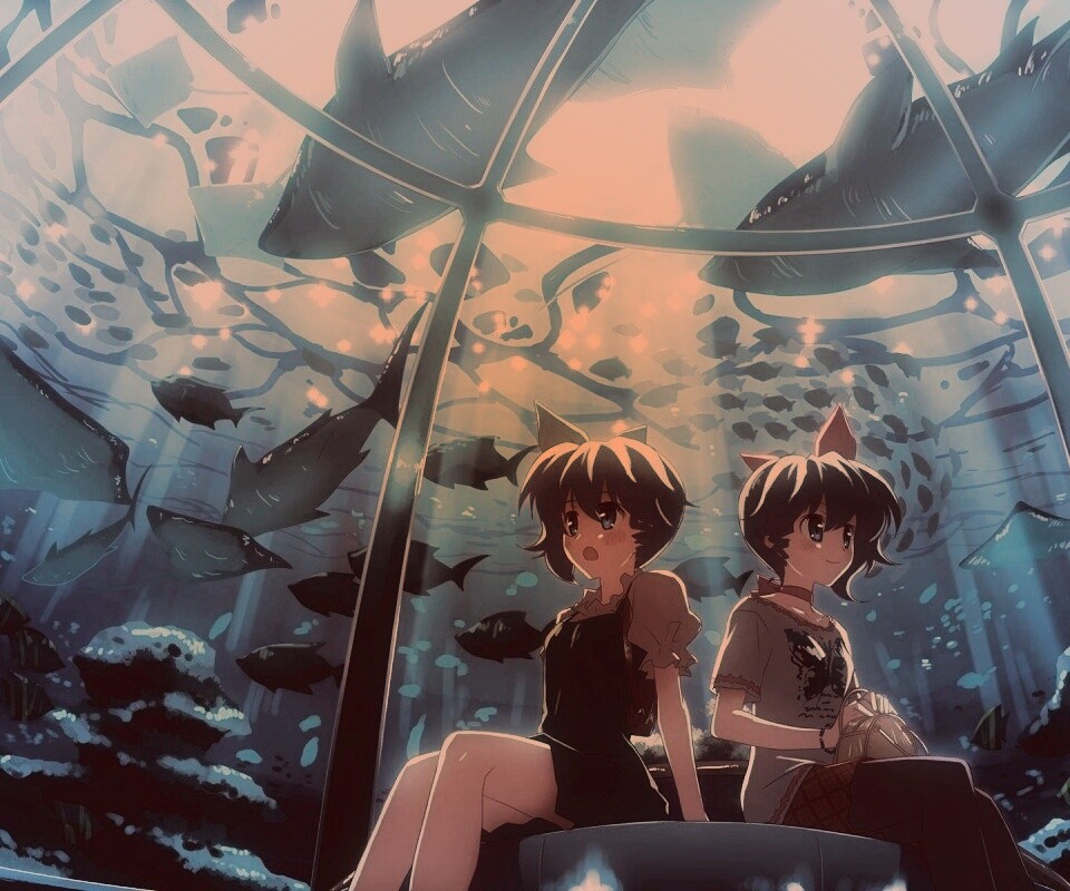 В океанариуме обои