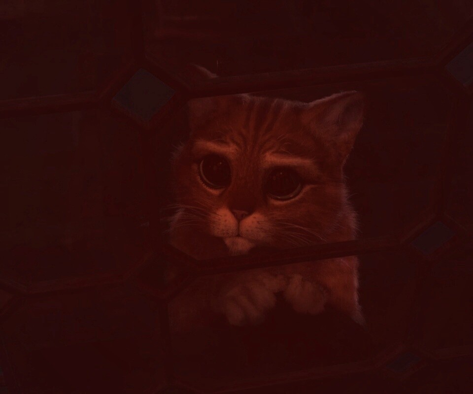 Кот в сапогах обои