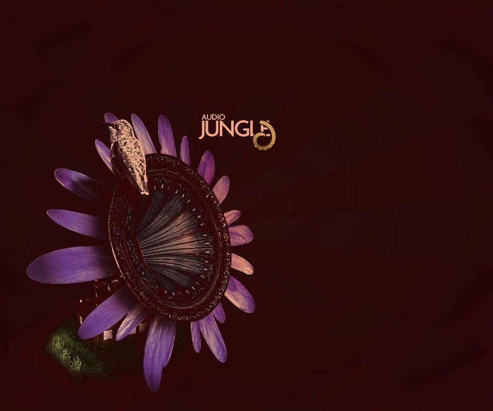 Звуки джунглей обои