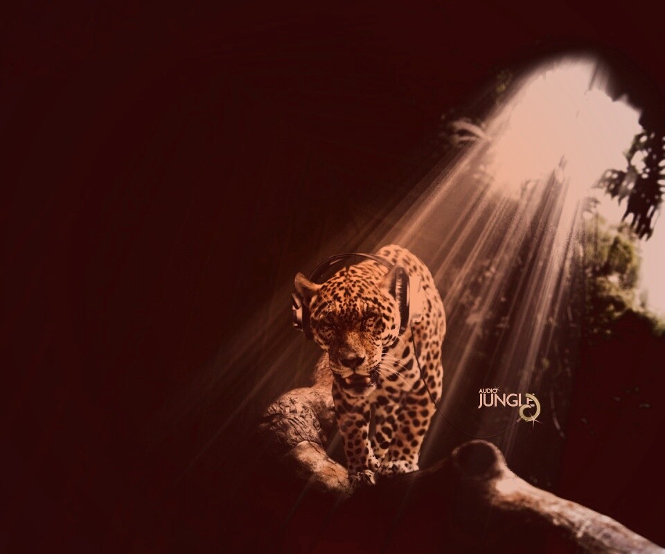 Ягуар в наушниках обои