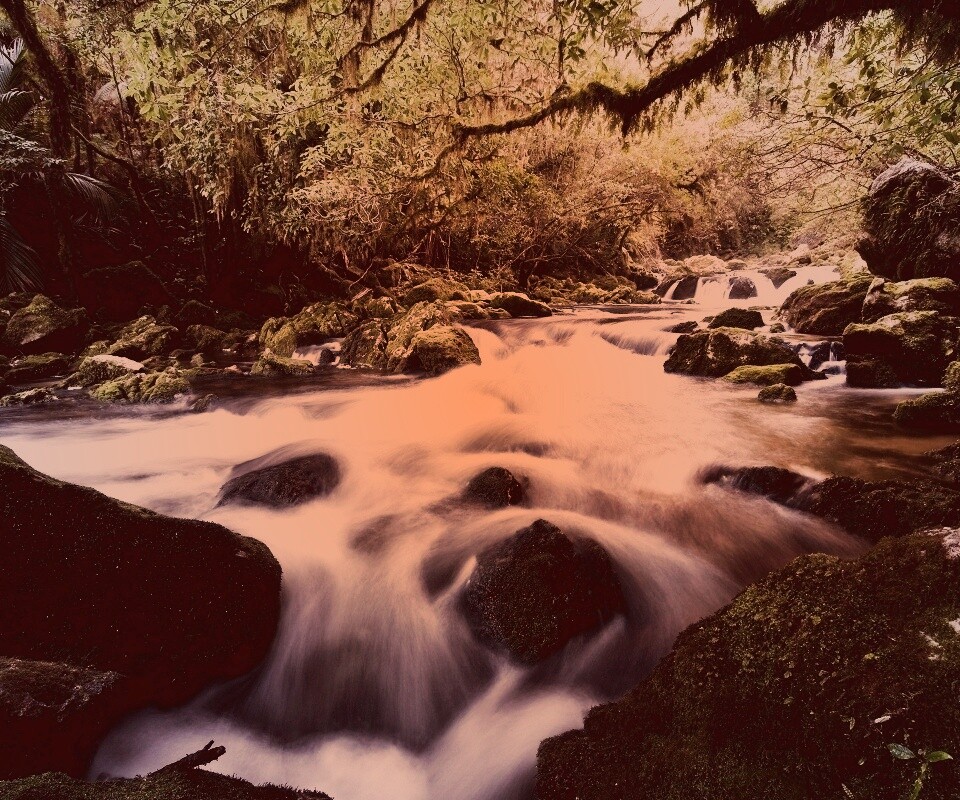 Лесной руче обои