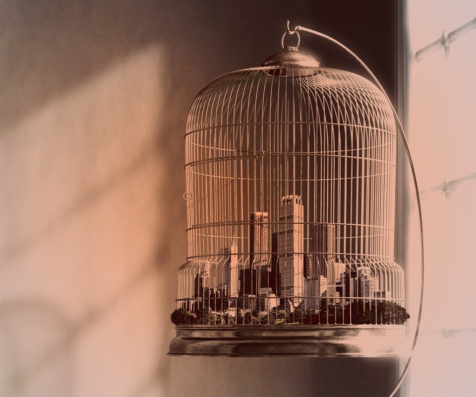 Город в клетке обои