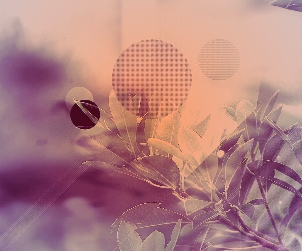 Синий фильтр с кргуами на фото листьев обои