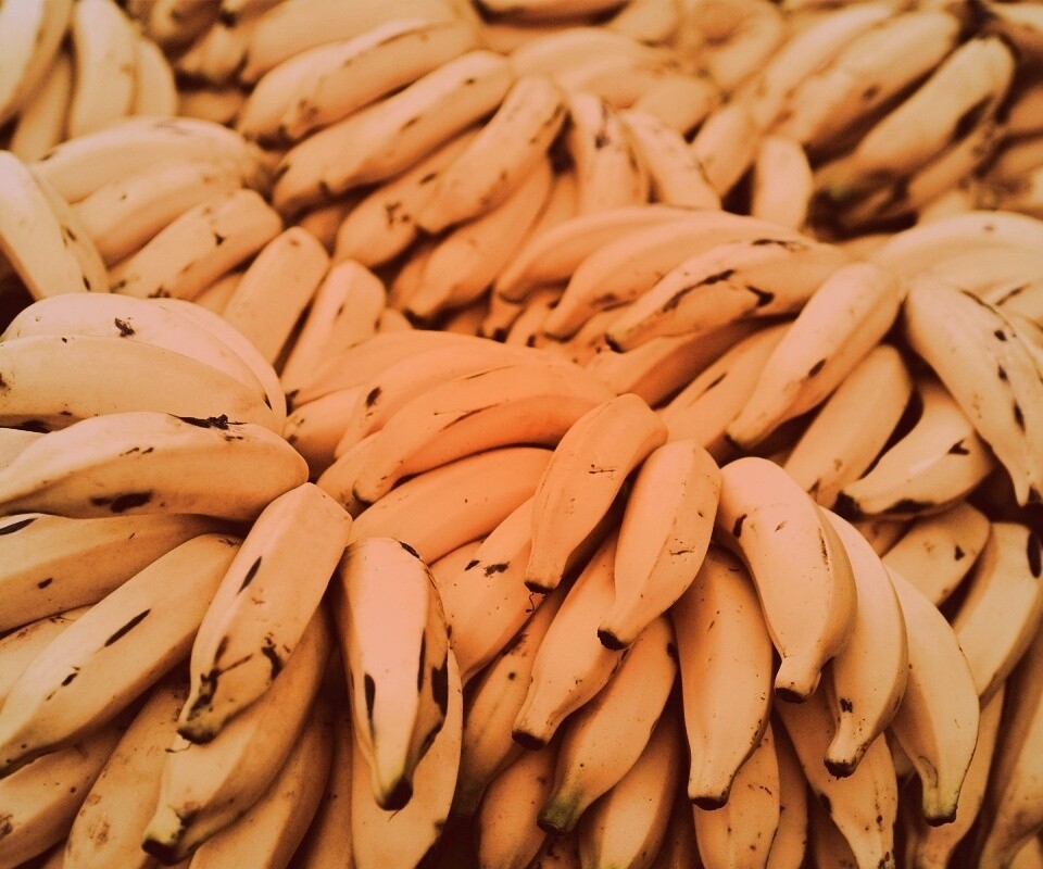 Много бананов обои