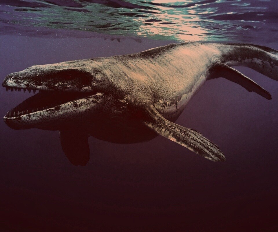 Морской динозавр обои