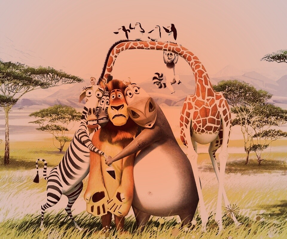 Герои мультфильма Мадагаскар обои