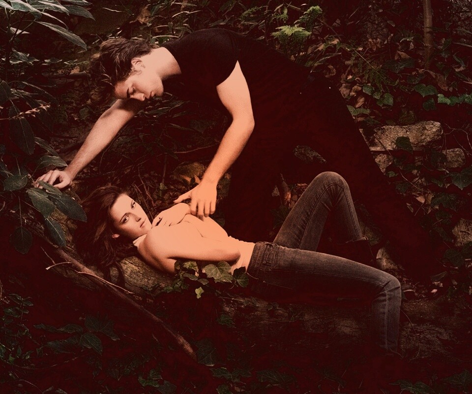 Эдвард и Белла в лесу обои