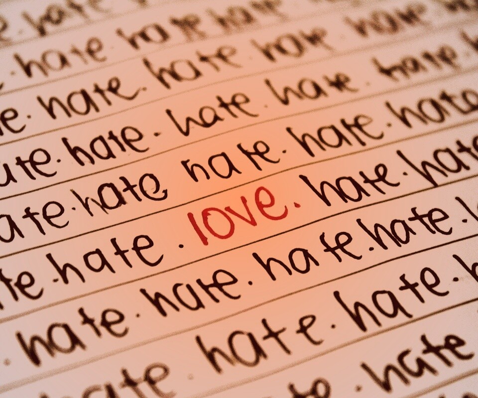 Любовь среди ненависти обои