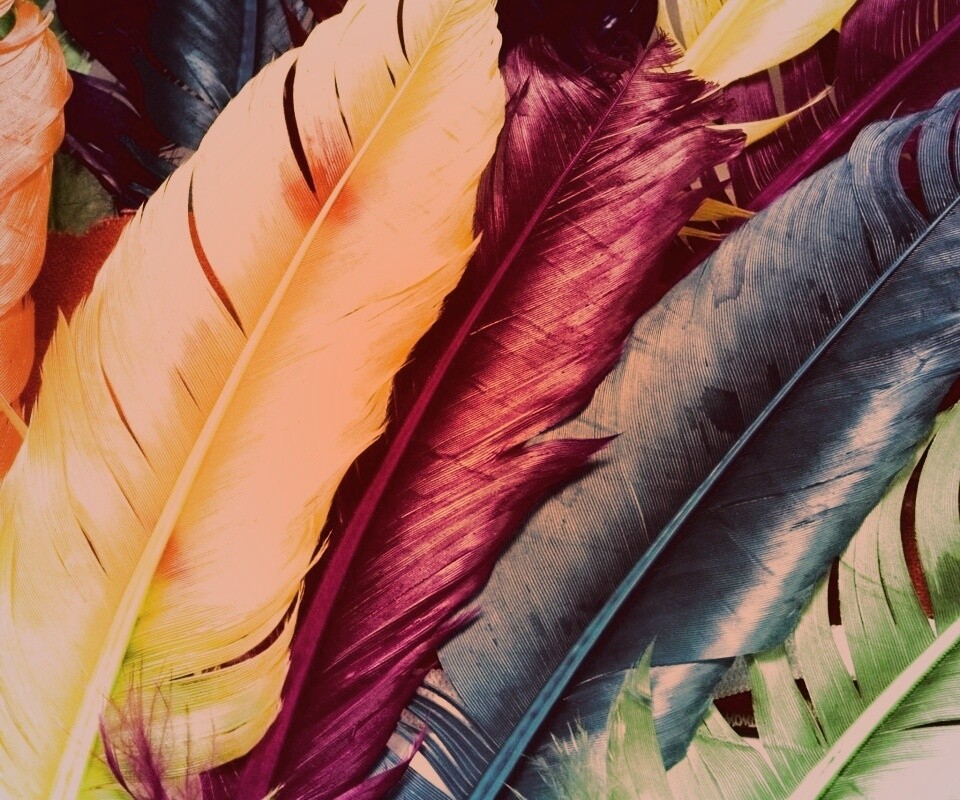 Разноцветные перья обои