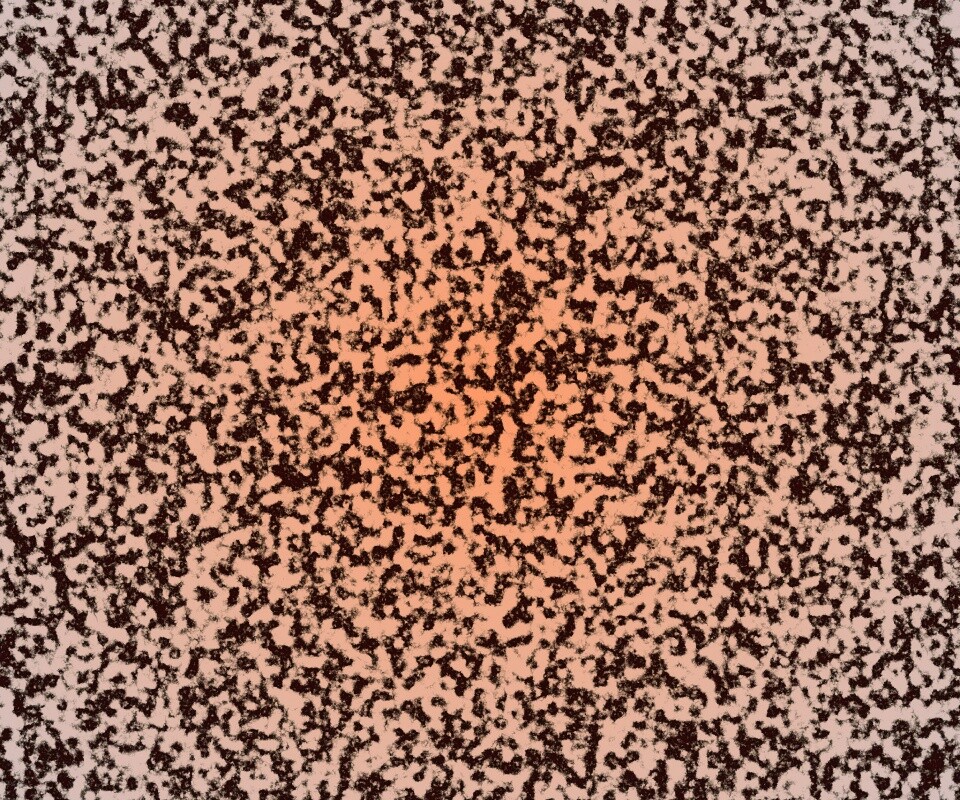 Черно-белый ковролин обои