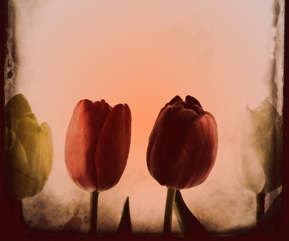 Нарисованные цветы обои