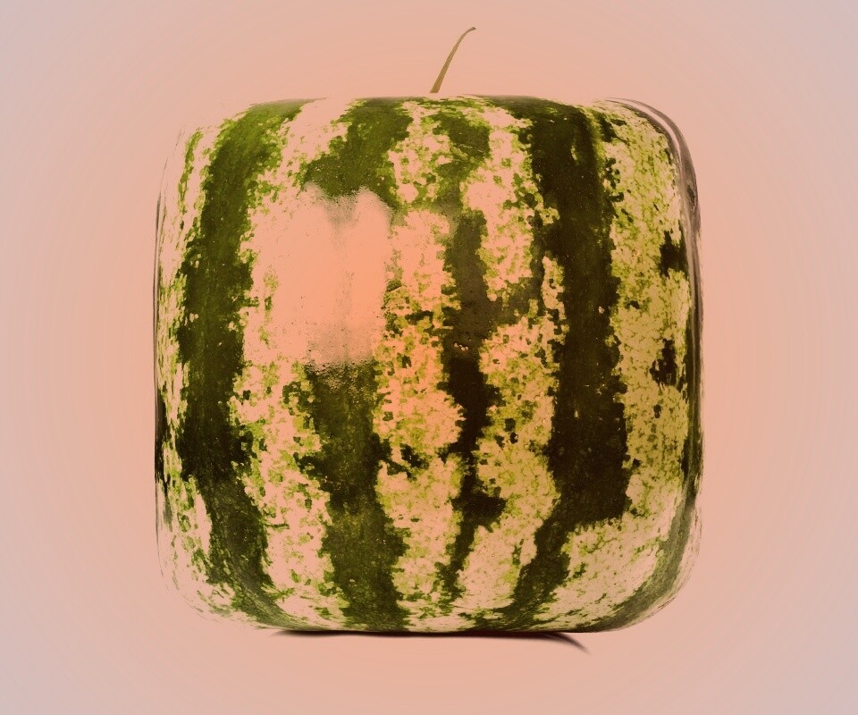 Квадратный арбуз обои