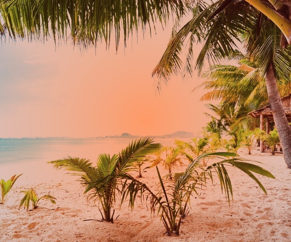 Настоящее лето обои