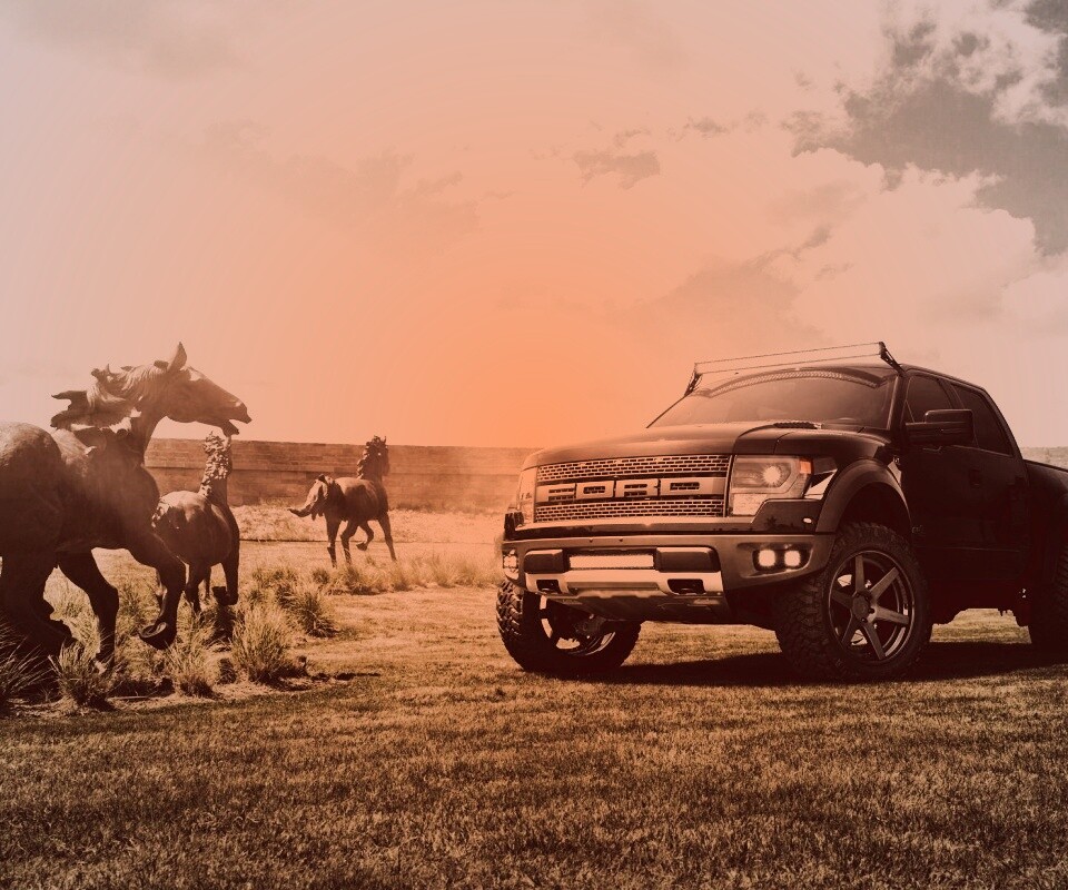 Ford F-150 Raptor обои