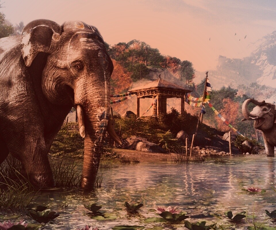 Слоники у воды обои