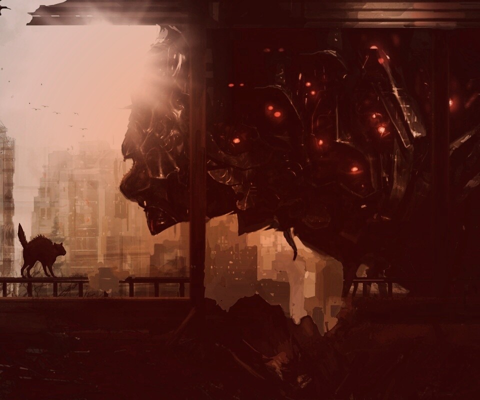 Кошкино удивление обои