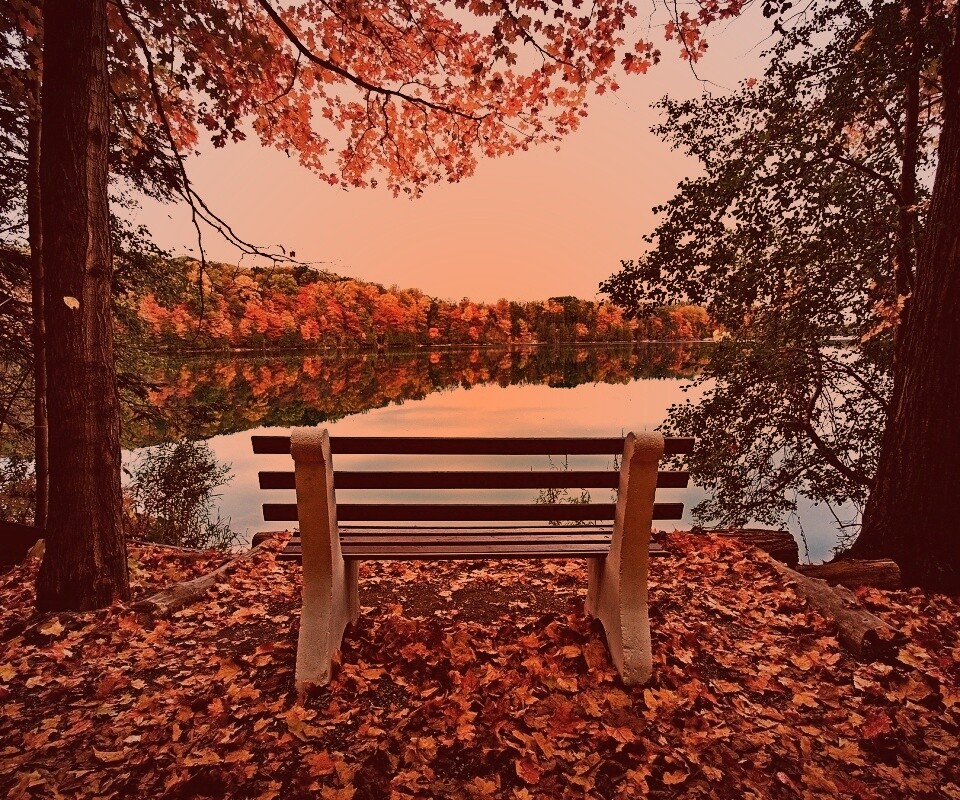 Вид на осеннее озеро обои