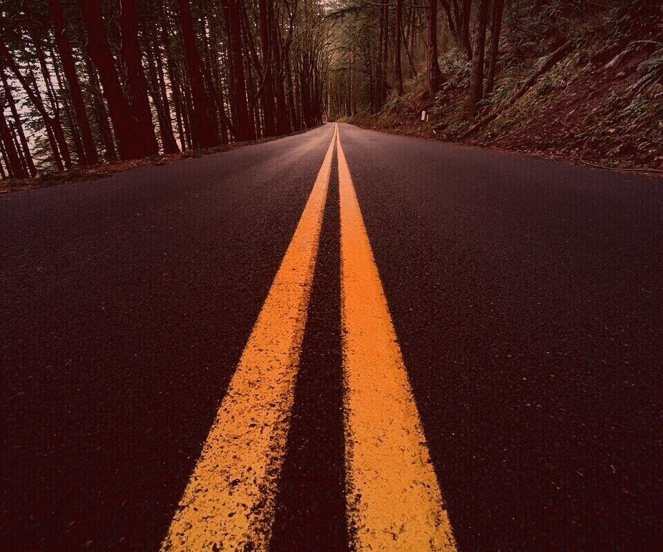 Дорога в лесу обои