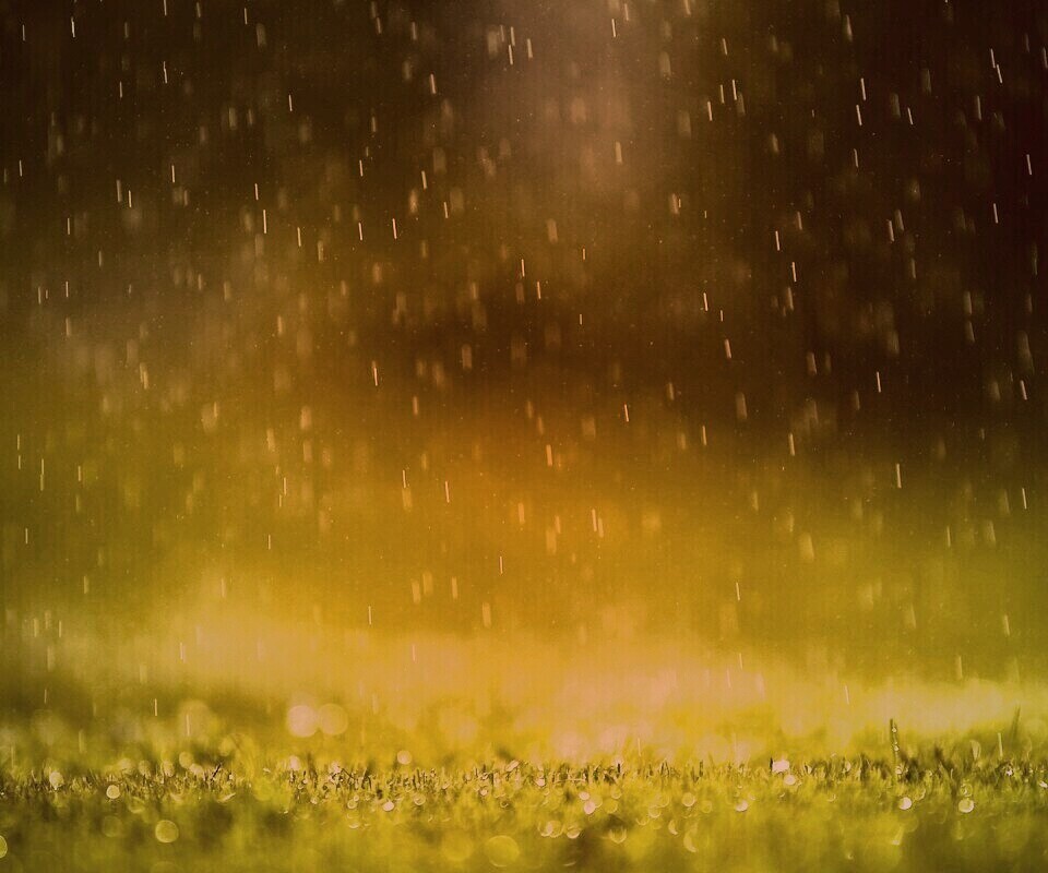 Трава под дождем обои