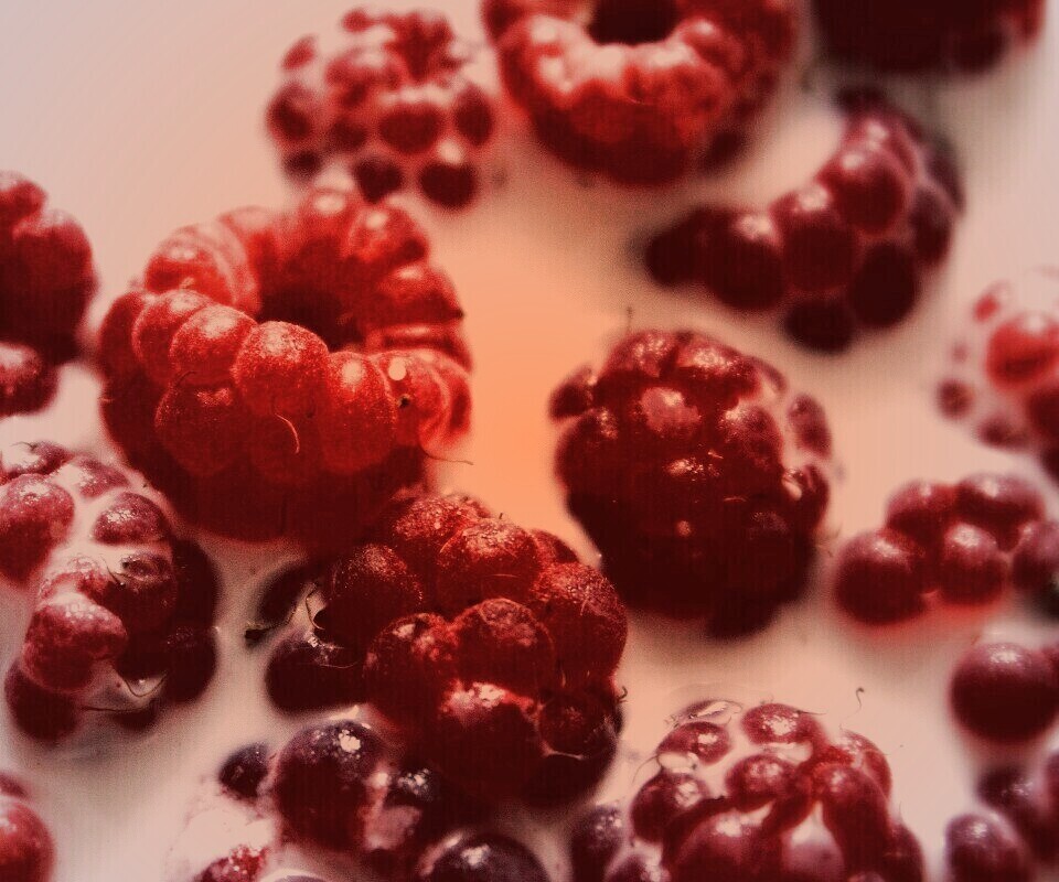 Малина в молоке обои