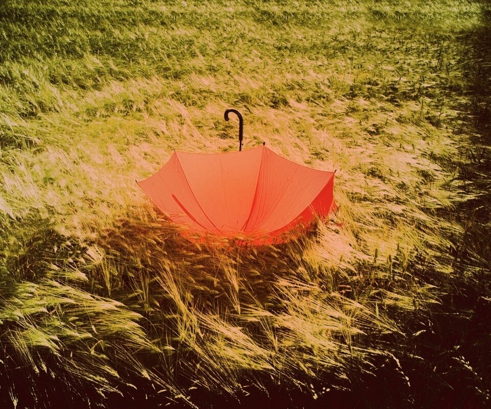 Зонт на траве обои