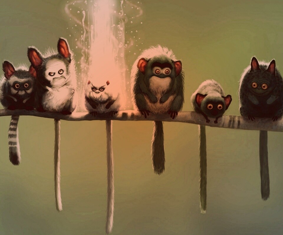 Существа на ветке обои