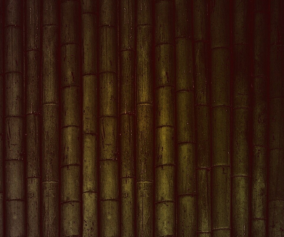 Зеленый бамбук обои