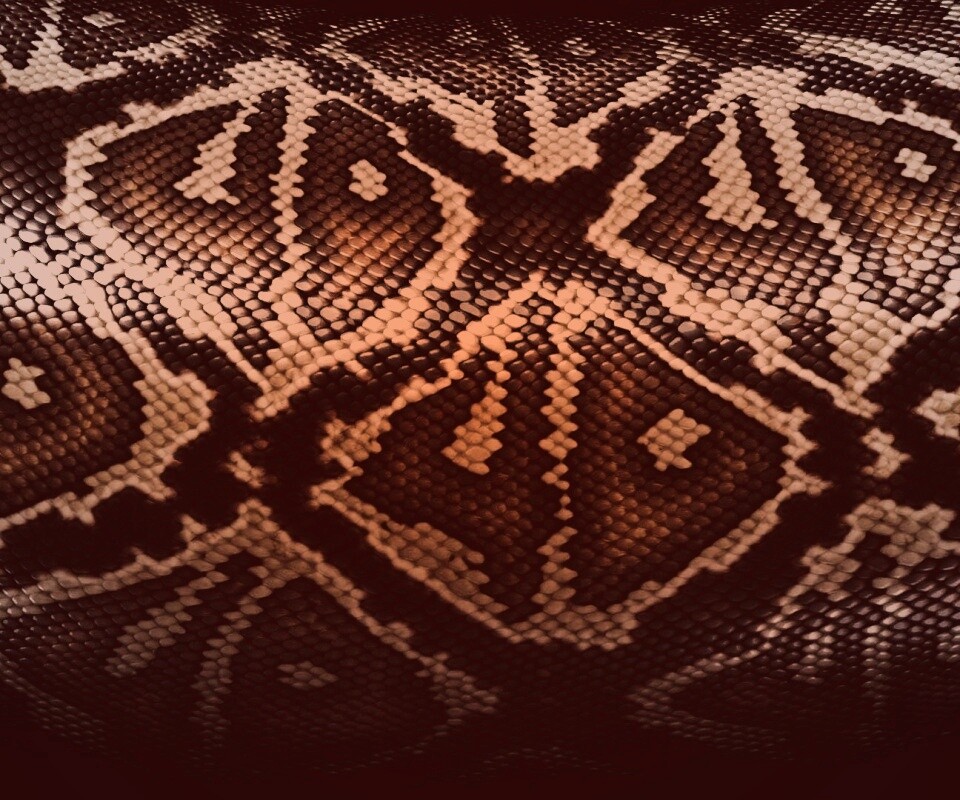 Змеиная кожа обои