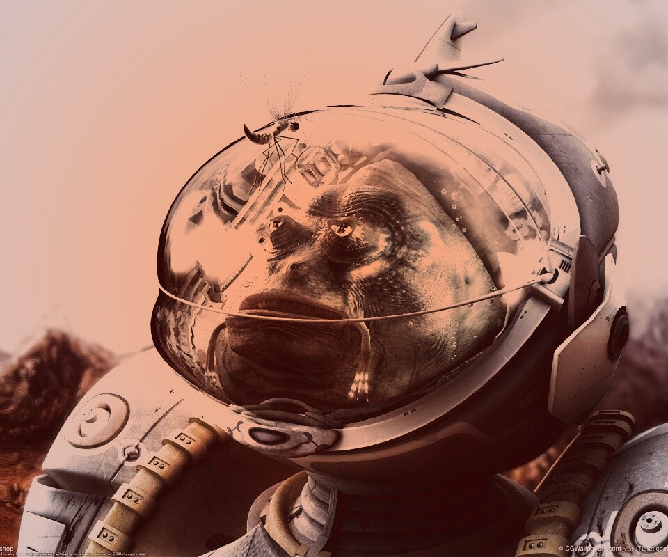 Инопланетянин и стрекоза обои