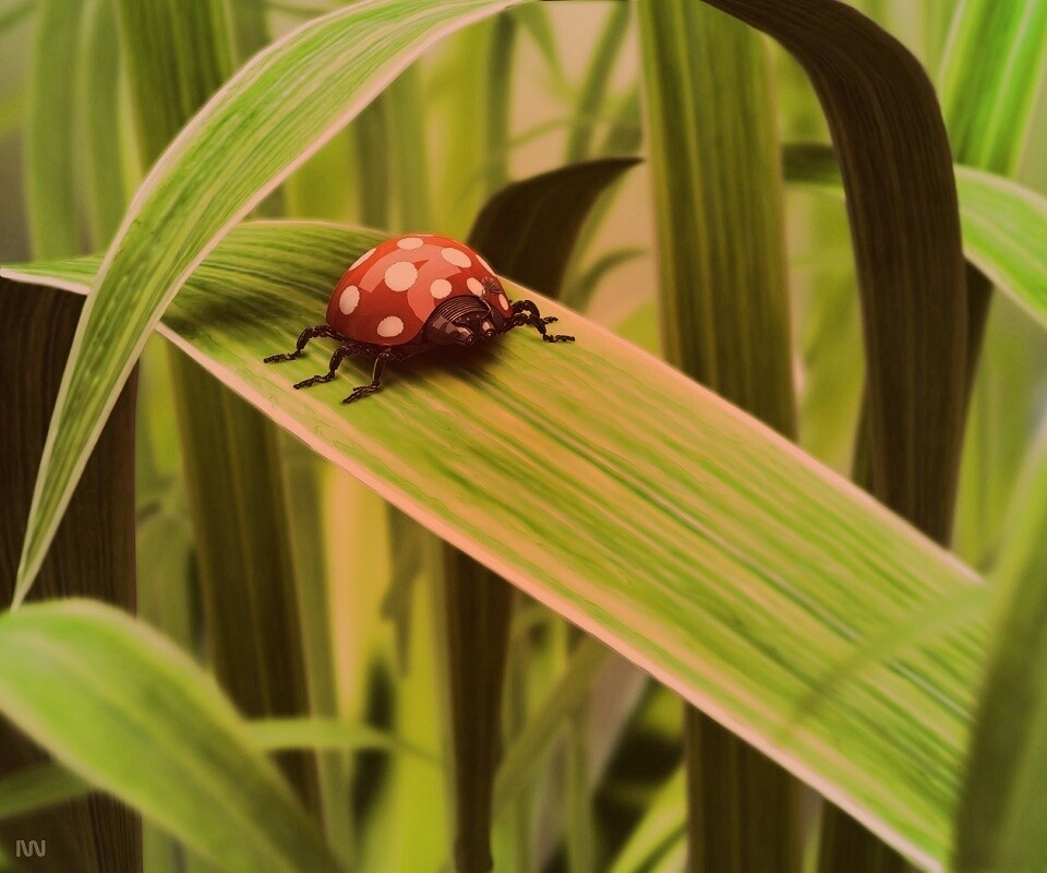 Милая божья коровка робот обои