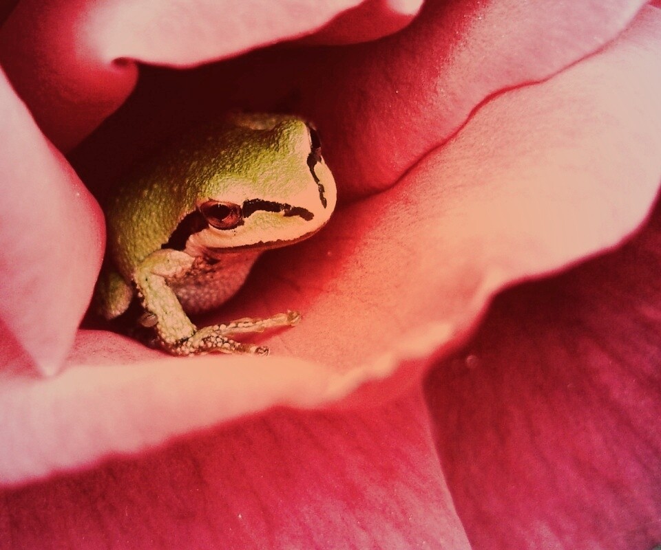 Куда это ты смотришь? обои