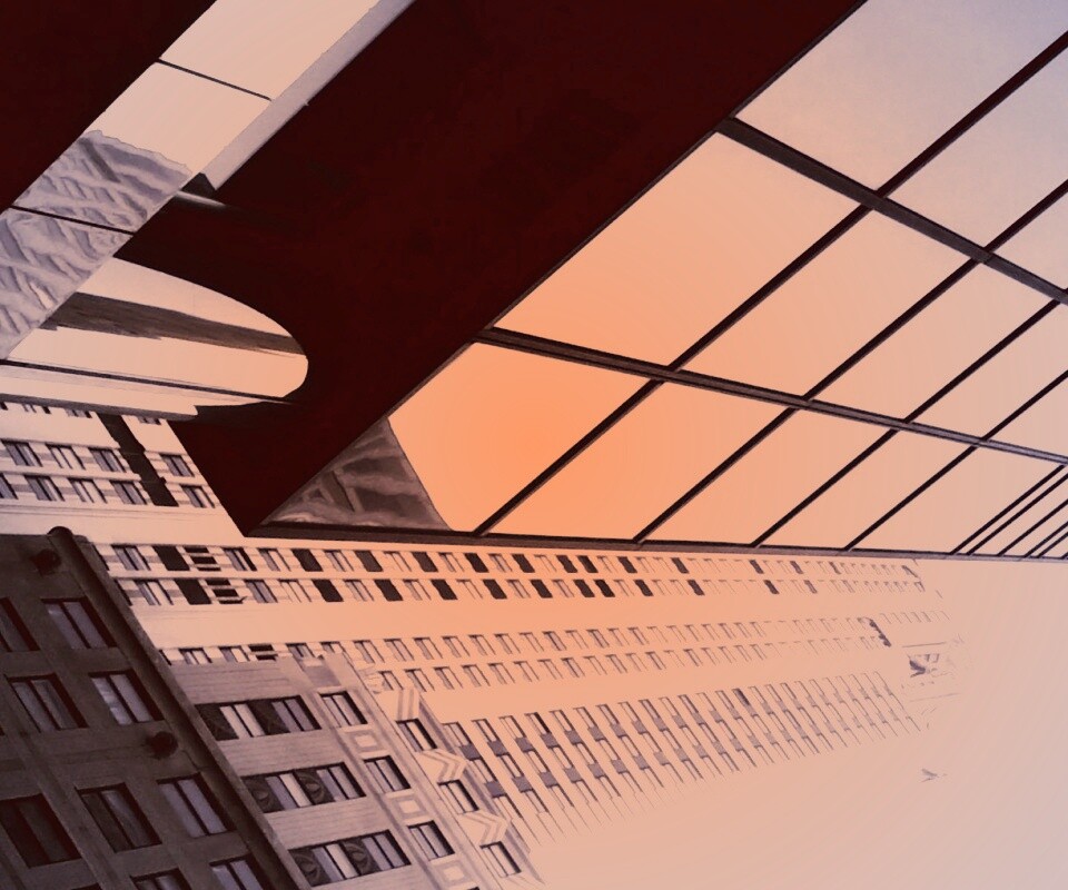 Взгляд вверх обои