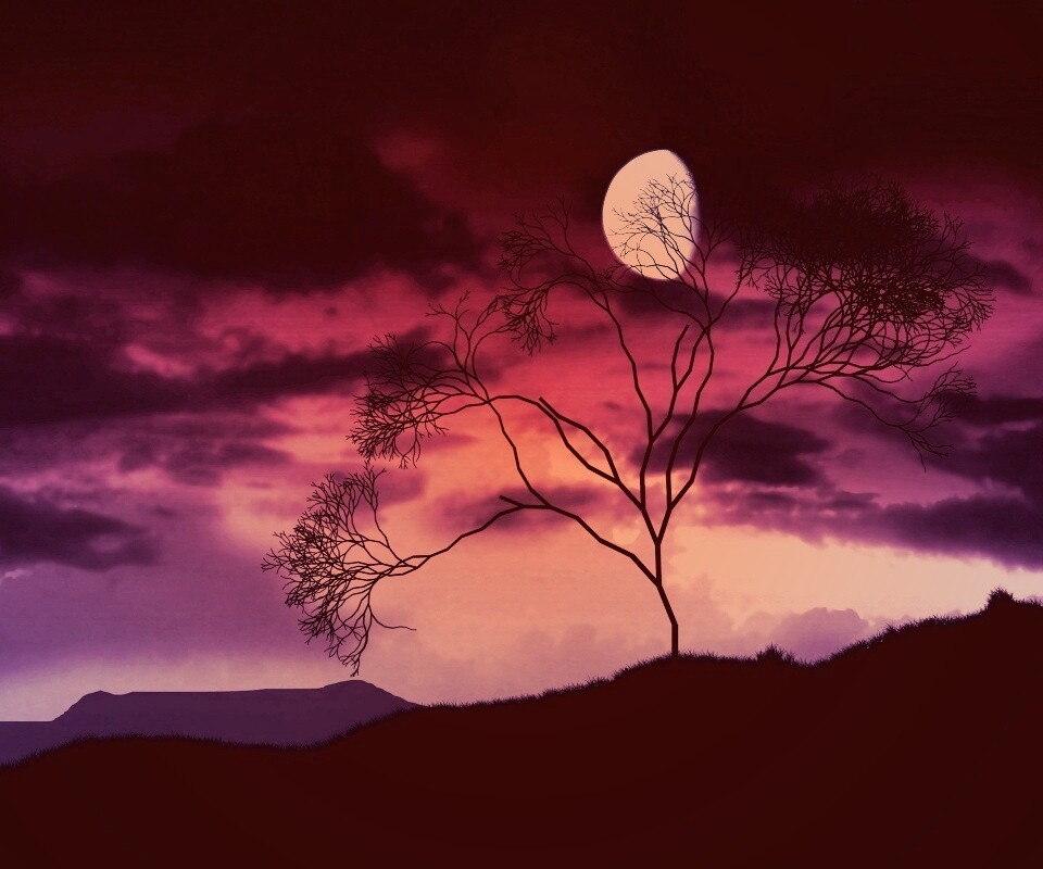 Фиолетовые небеса обои