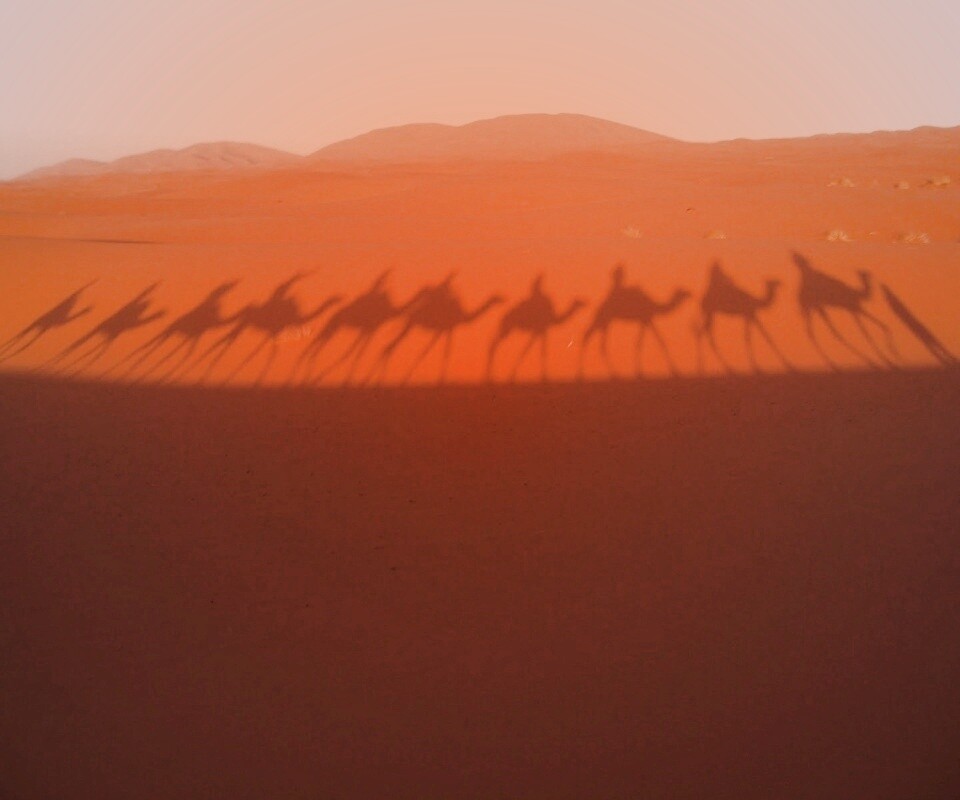 Караван обои