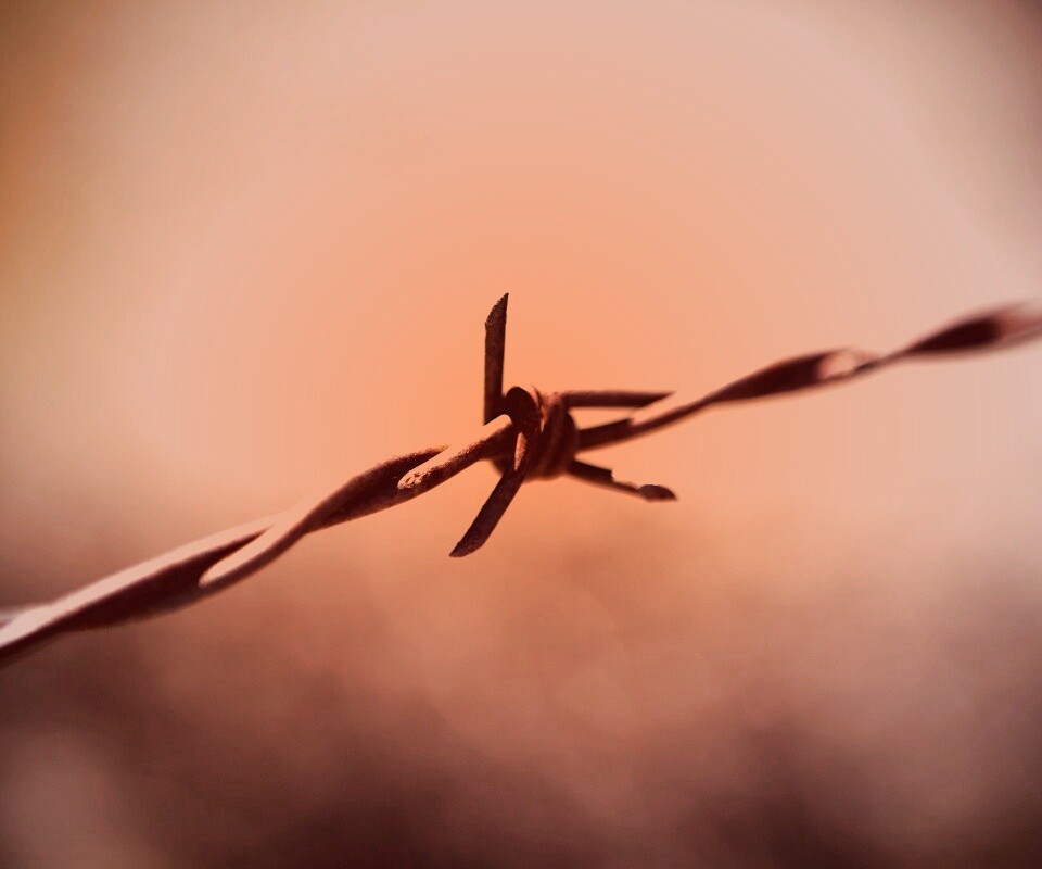 Фото колючей проволоки обои