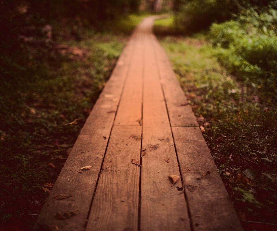 Деревянная тропинка обои