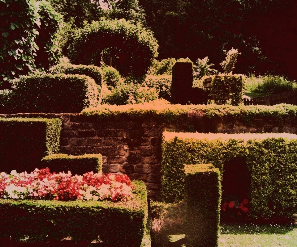 Декоративный сад обои