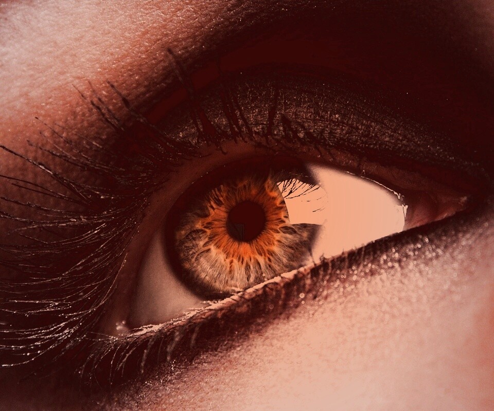 Оранжевый глаз обои