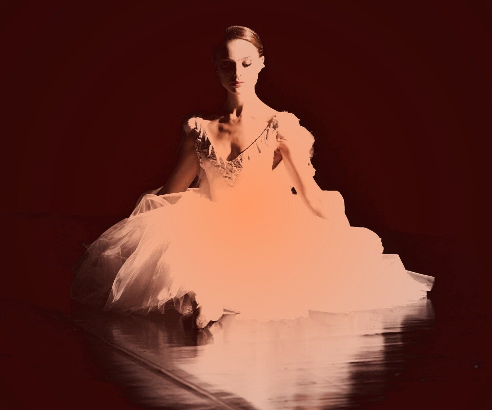 Черный лебедь обои