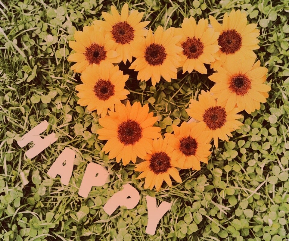 Радость обои