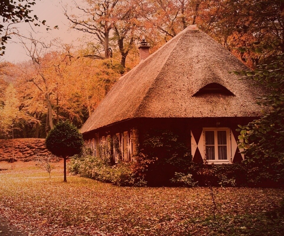 Домик в осеннем лесу обои