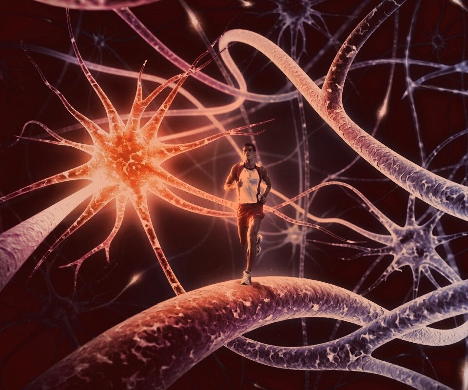 Бег мыслей обои