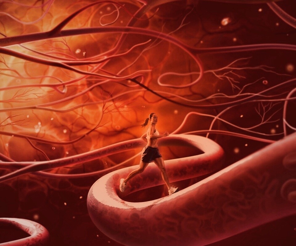 Бег крови обои