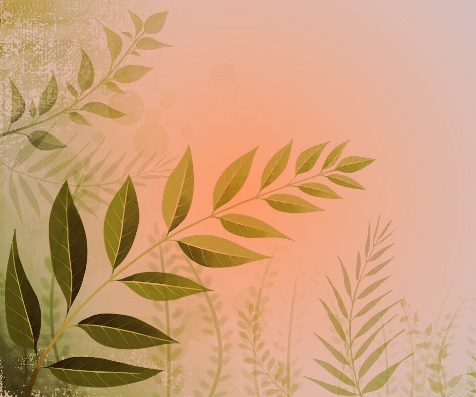 Веточка молодых листьев обои