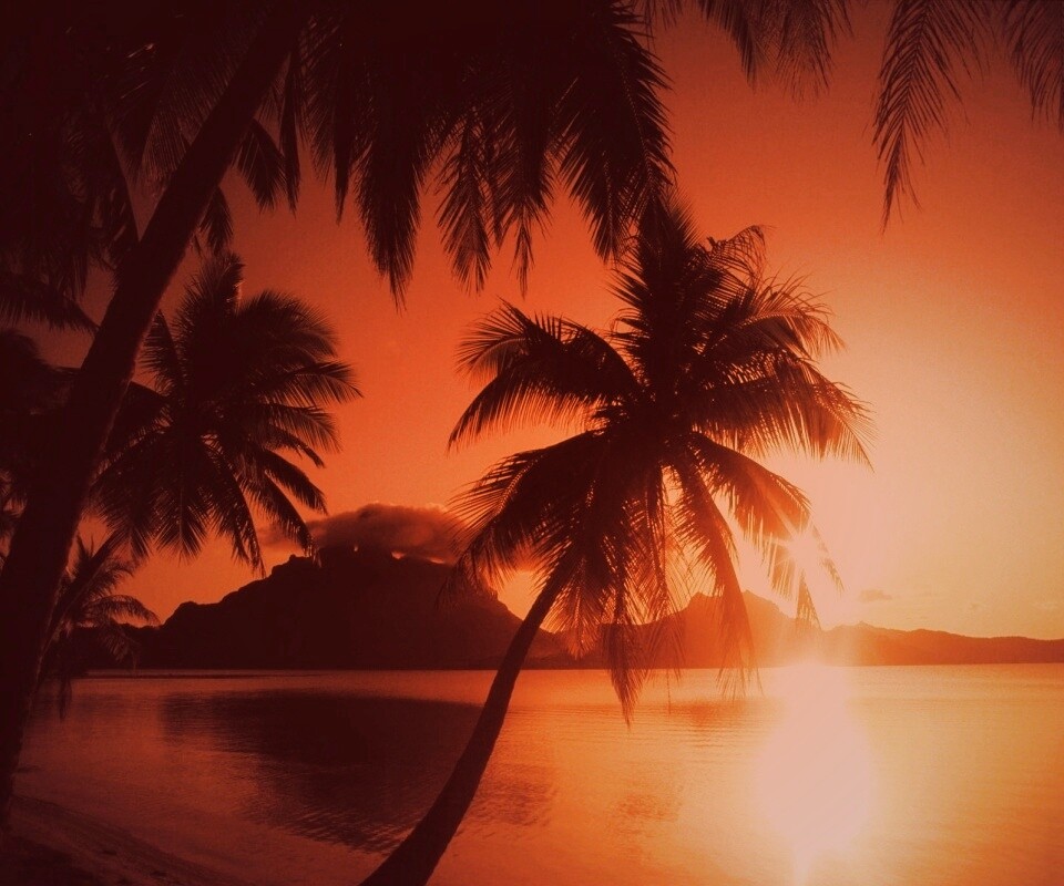 Закат в раю обои