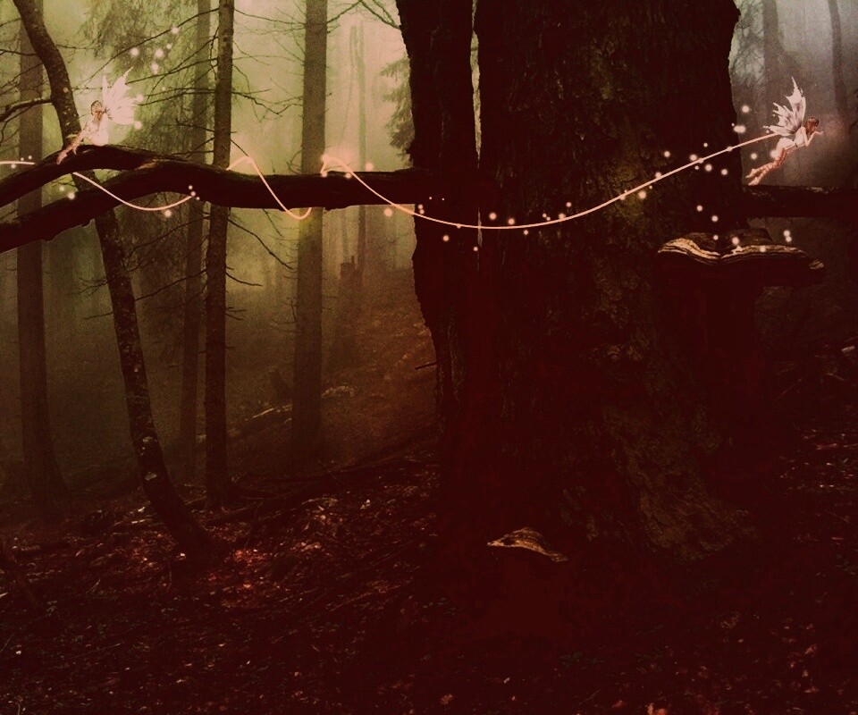 Лесные феи обои