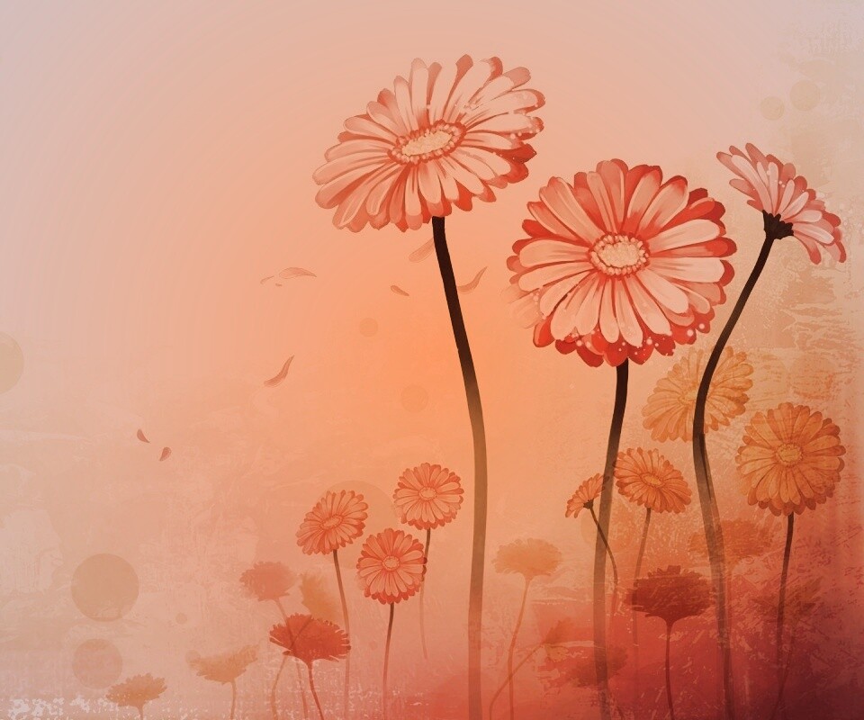 Векторные ромашки обои