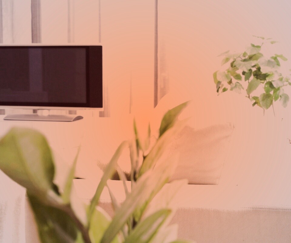 Белая комната обои